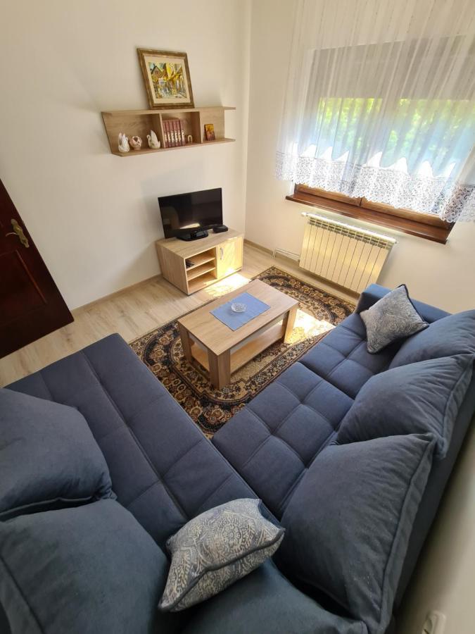 Banja KoviljačaIn Pavlovic公寓 外观 照片